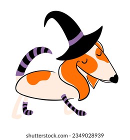 Cute beagle dog in witch costume isolated on transparent background. Doggy character in Halloween costume for pets  pawty. Vector illustration for prints, cards, decorations.