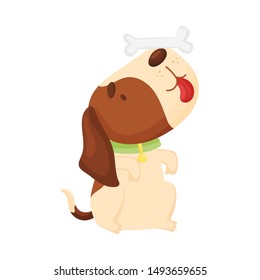 Cute beagle holds a bone on his nose. Vector illustration on a white background.