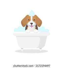 Cute beagle puppy in the bath. Funny dog, soap bubbles. Vector illustration.	
