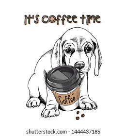 Cute Beagle puppy with a plastic cup of coffee. It's coffee time - lettering quote. Humor card, t-shirt composition, hand drawn style print. Vector illustration.