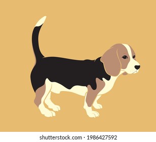 Cute Beagle Puppy, Side View Stance