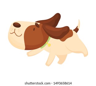 Cute beagle is running. Vector illustration on a white background.