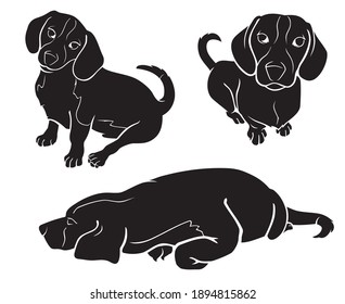Cute Beagle Silhouette, Pet Dog Illustration