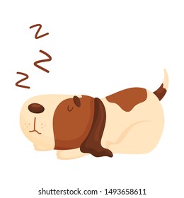 Cute beagle is sleeping. Vector illustration on a white background.