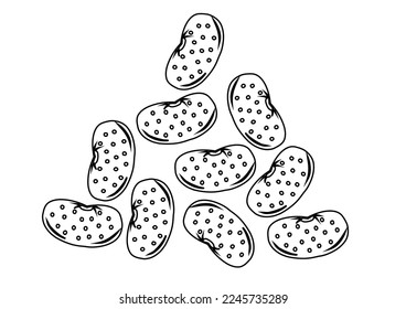 cute beans vector, outline illustration design