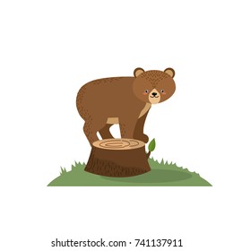 cute bear animal in bole wood tree