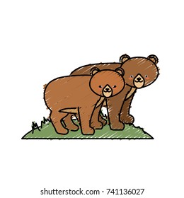 cute bear animal couple together