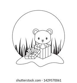 cute bear animal in gift box
