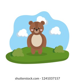 cute bear in the camp