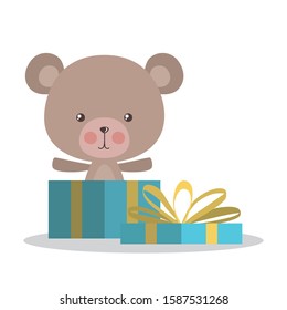 Cute bear cartoon and gift design, Animal zoo life nature character childhood and adorable theme Vector illustration