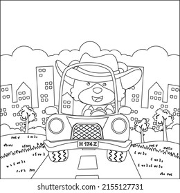 Cute bear driving a car go to forest funny animal cartoon. Childish design for kids activity colouring book or page.
