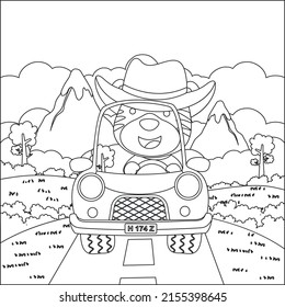 Oso lindo conduciendo un auto va a la caricatura de animales graciosos del bosque. Diseño infantil para niños animan libros o páginas coloreadas.