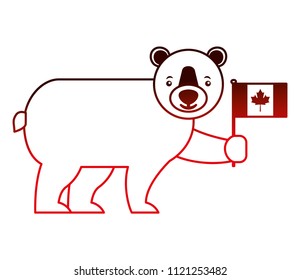 cute bear holding canadian flag