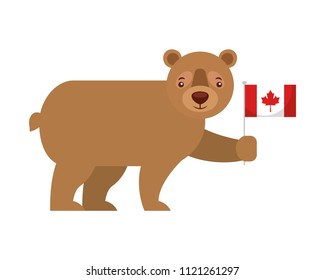 cute bear holding canadian flag