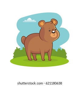 cute bear landscape meadow image