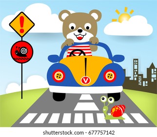 Cute bear on car, funny snail crossing road, vector cartoon illustration