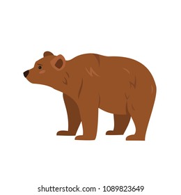 Cute bear on white background. Vector illustration.