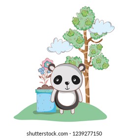 cute bear panda in the garden