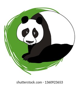Cute bear, panda, kind cartoon character, portrait of an animal, logo print style, on a white background, vector, to illustrate articles on nature and animal welfare