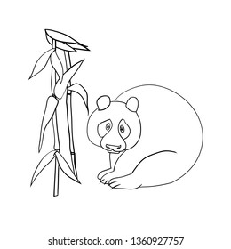Cute bear, panda, kind cartoon character,  bamboo shoots, thickets of plants, a set of linear drawings on a white background, vector, to illustrate articles on nature and animal welfare