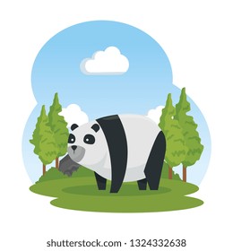 cute bear panda in the landscape