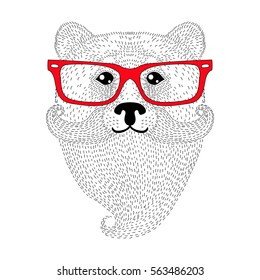 Cute bear portrait with french mustache, beard, glasses. Hand drawn wild anthropomorphic animal face, vector illustration for t-shirt print, kids greeting card, invitation for gentleman party