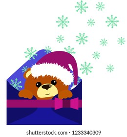 Cute bear with purple santa cap looks out of the blue envelope on white background