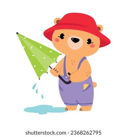 Cute Bear in Rainy Day Walking in Hat with Umbrella Vector Illustration