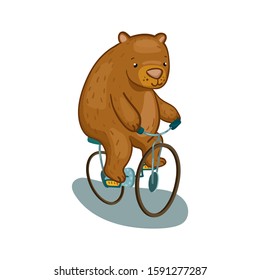 Cute bear riding a bicycle. Animal vector character on white background. Cute animal character isolated. Bear ride bike print for children. Funny animal drawing for kid product. Forest animal logo