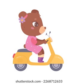 Cute bear riding motor scooter vector illustration. Cartoon little girl animal with bow and dress sitting on speed moped to drive on city road, fun ride of funny happy lady rider character on scooter