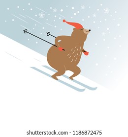 cute bear is skiing