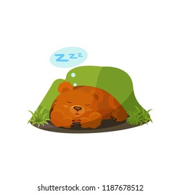 Cute bear sleeping in a den vector Illustration on a white background