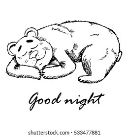 Cute bear sleeping. Good Night. Hand drawn sketch vector illustration.