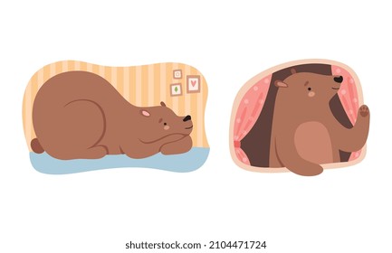 Cute Bear Sleeping and Looking Out of Window of His Cosy Burrow Vector Set
