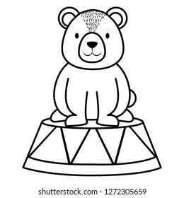 cute bear teddy in stage