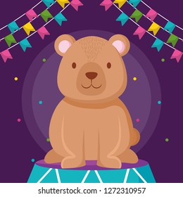 cute bear teddy in stage