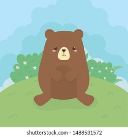 cute bear teddy wild character