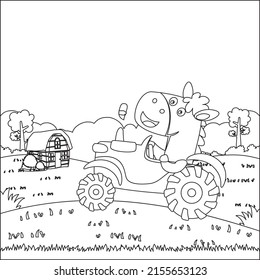 Cute bear and tractor in the farm, funny animal cartoon, Childish design for kids activity colouring book or page.