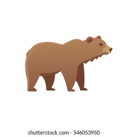 cute bear vector illustration Grizzly