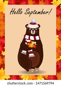 Cute bear in white knitted scarf and hat holding maple leaves bouquet in paws framed with colored autumn border frame. Hello september typography design card. Vector cartoon character illustration