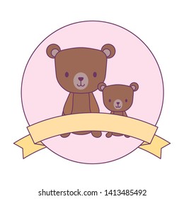 cute bears animals in frame circular with ribbon