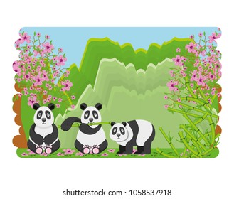 cute bears panda of culture oriental
