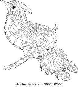 Cute beautiful  bird with long tail. Black and white background. Funny creature, coloring book pages. Hand drawn illustration in zentangle style for children and adults, tattoo.