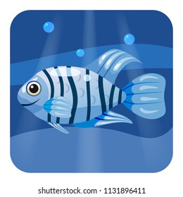 Cute beautiful blue tropical fish, on sea background, ocean, vector, isolated, cartoon style