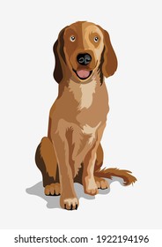 Cute beautiful brown dog. Ridgeback or little bulldog. A beautiful white dog sitting on a ground. Isolate. Vector illustration