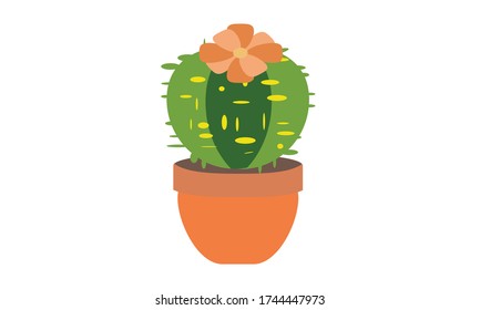 Cute and beautiful cactus for decoration, Vector flower concept.