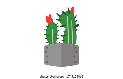 Cute and beautiful cactus for decoration,Vector flower concept.