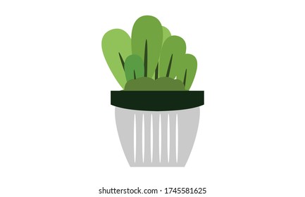 Cute and beautiful cactus for decoration,Vector flower concept.