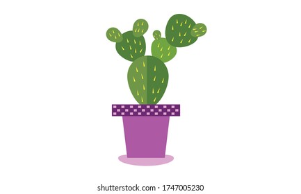 Cute and beautiful cactus for decoration,Vector flower concept.