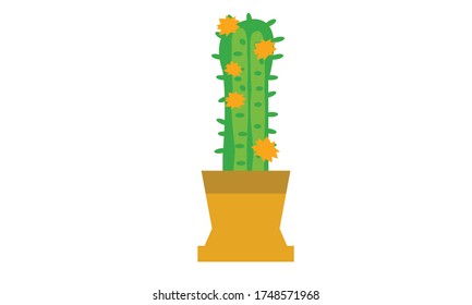 Cuidados y hermosos cactus para la decoración,Concepto de flor vectorial.